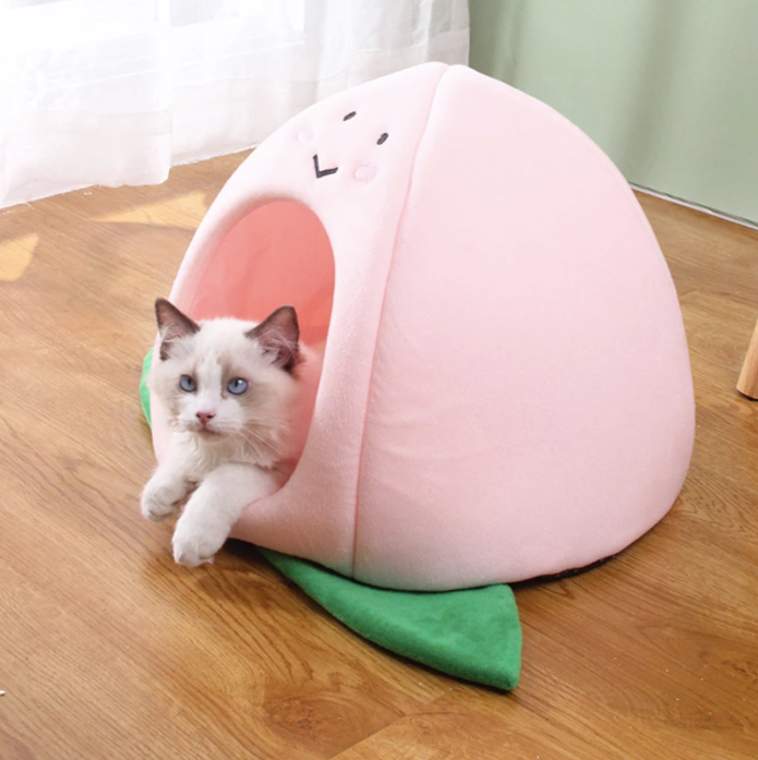 Creative Shape Cat Bed House