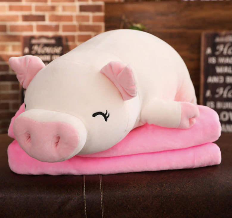 Squish Pig Plush Toy