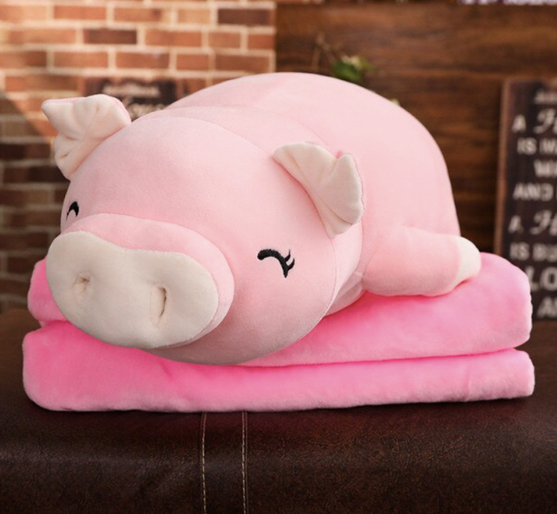 Squish Pig Plush Toy